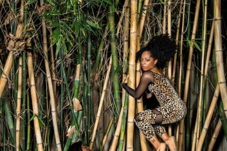 City Dance Company Presents It’s A Jungle Out There
