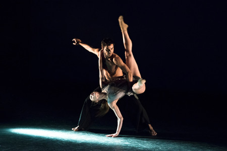 Elephant in the Black Box Makes Their US Debut at Dance Salad