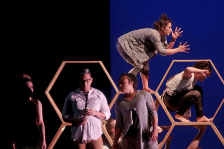 Bee Aware: Psophonia Dance and AURA Invite You Into the Colony